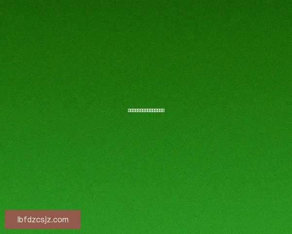 力量之核：加力量的宝珠引领前行